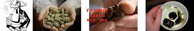 mdpv Сосновоборск