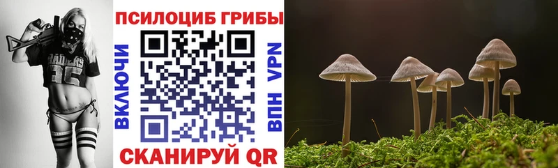 OMG ССЫЛКА  Нерехта  Галлюциногенные грибы Cubensis  сколько стоит 